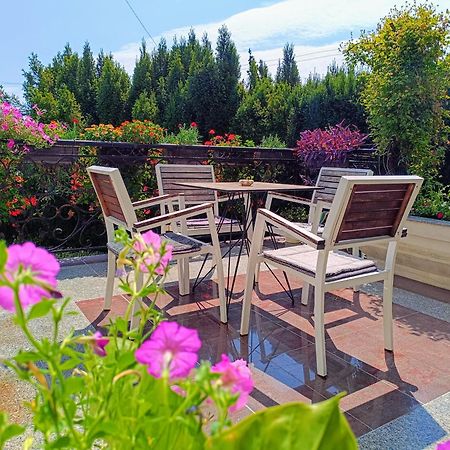 Vila Sentic ヴラニェ エクステリア 写真
