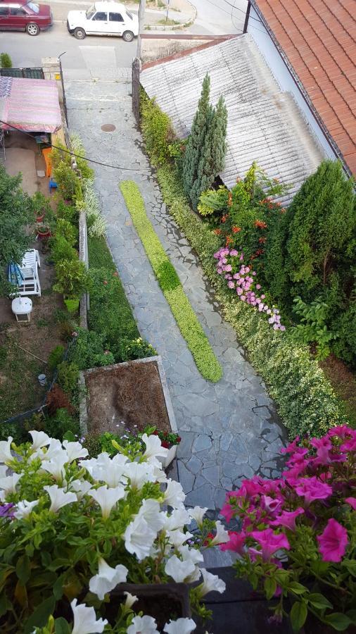 Vila Sentic ヴラニェ エクステリア 写真