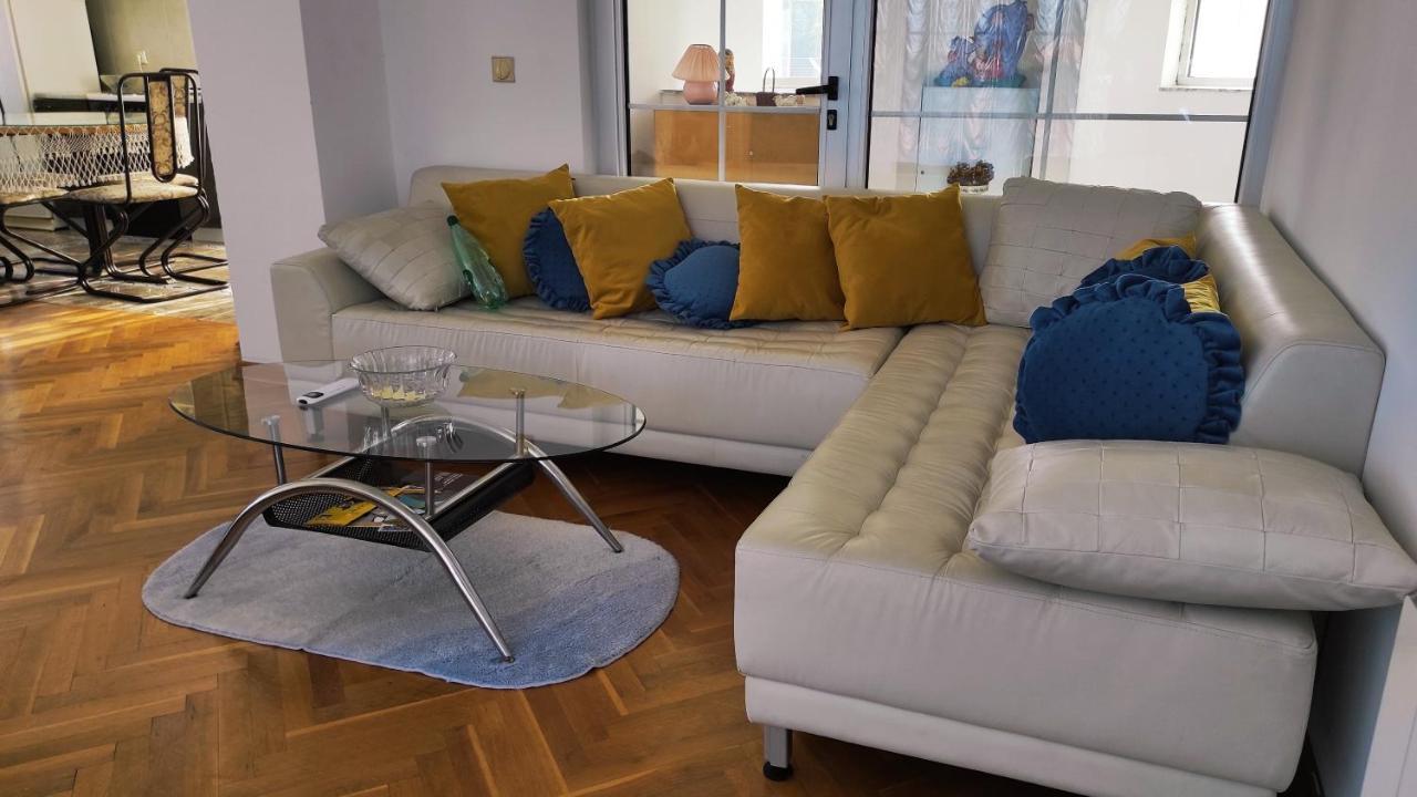 Vila Sentic ヴラニェ エクステリア 写真