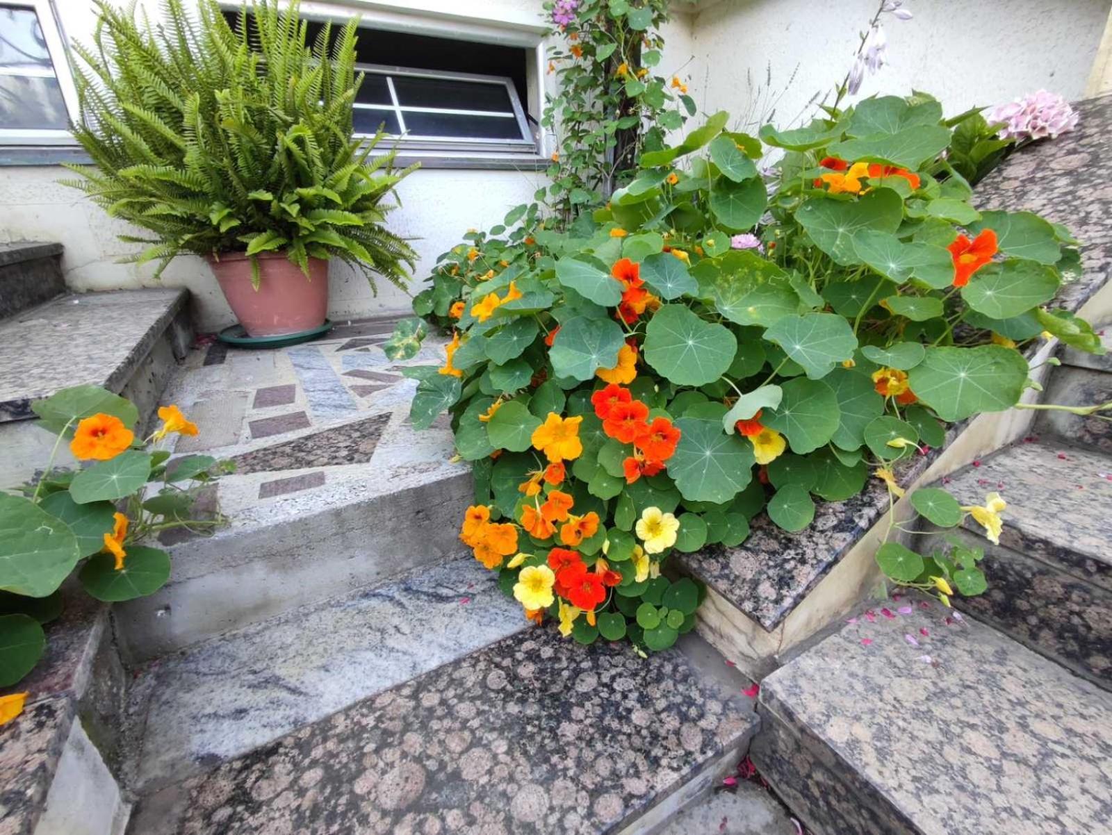Vila Sentic ヴラニェ エクステリア 写真