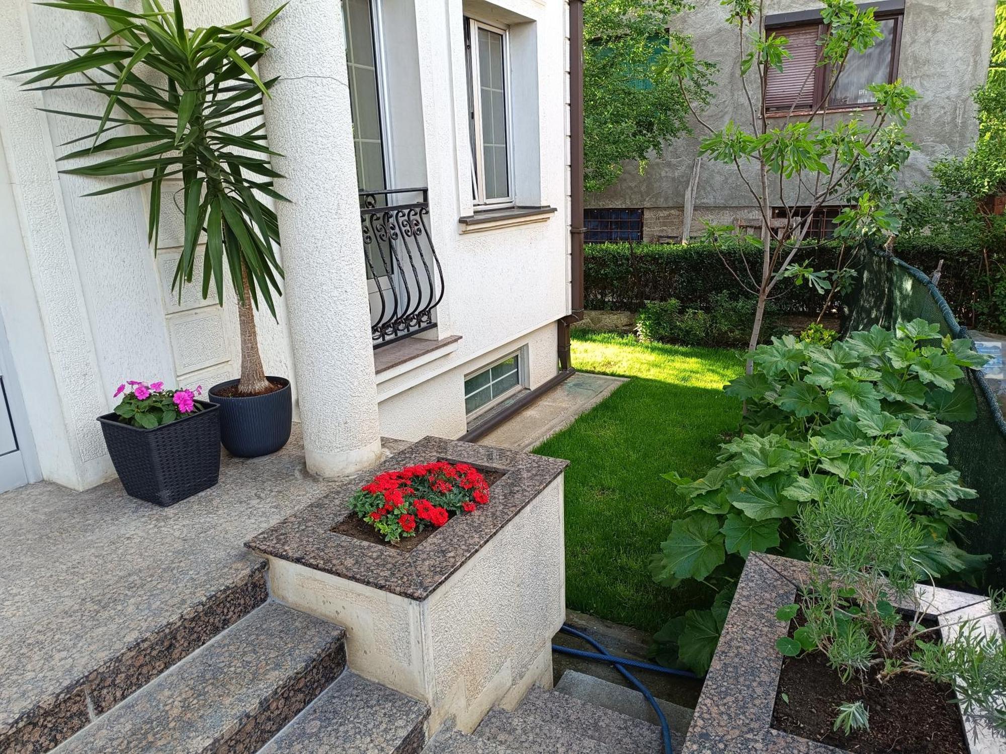 Vila Sentic ヴラニェ エクステリア 写真