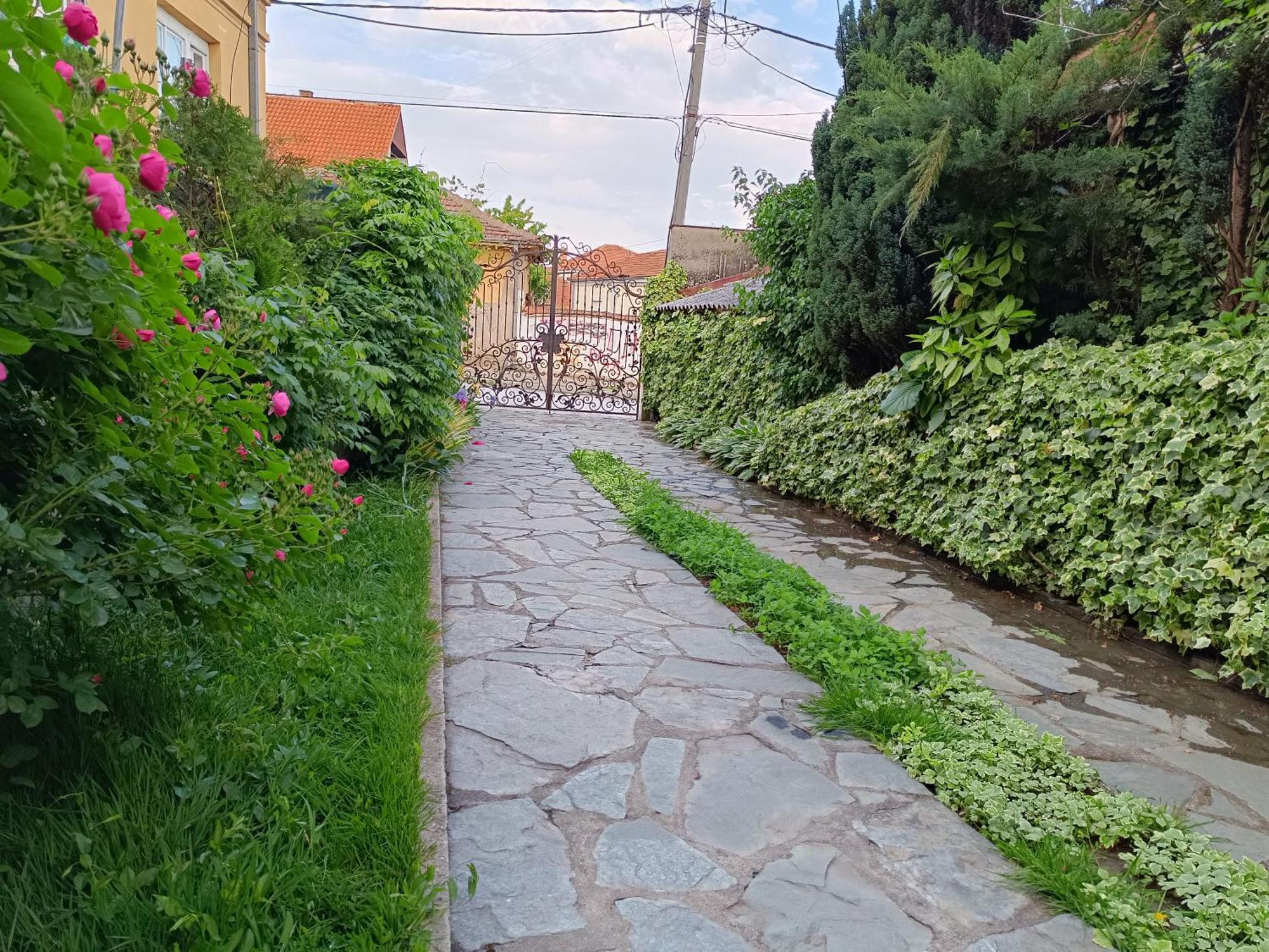 Vila Sentic ヴラニェ エクステリア 写真