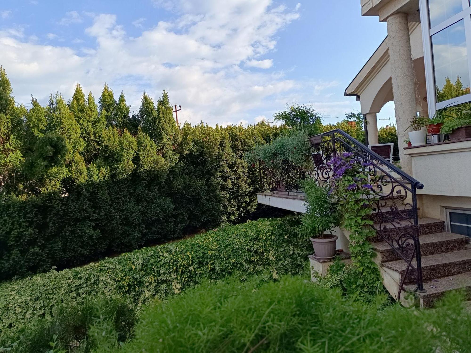 Vila Sentic ヴラニェ エクステリア 写真