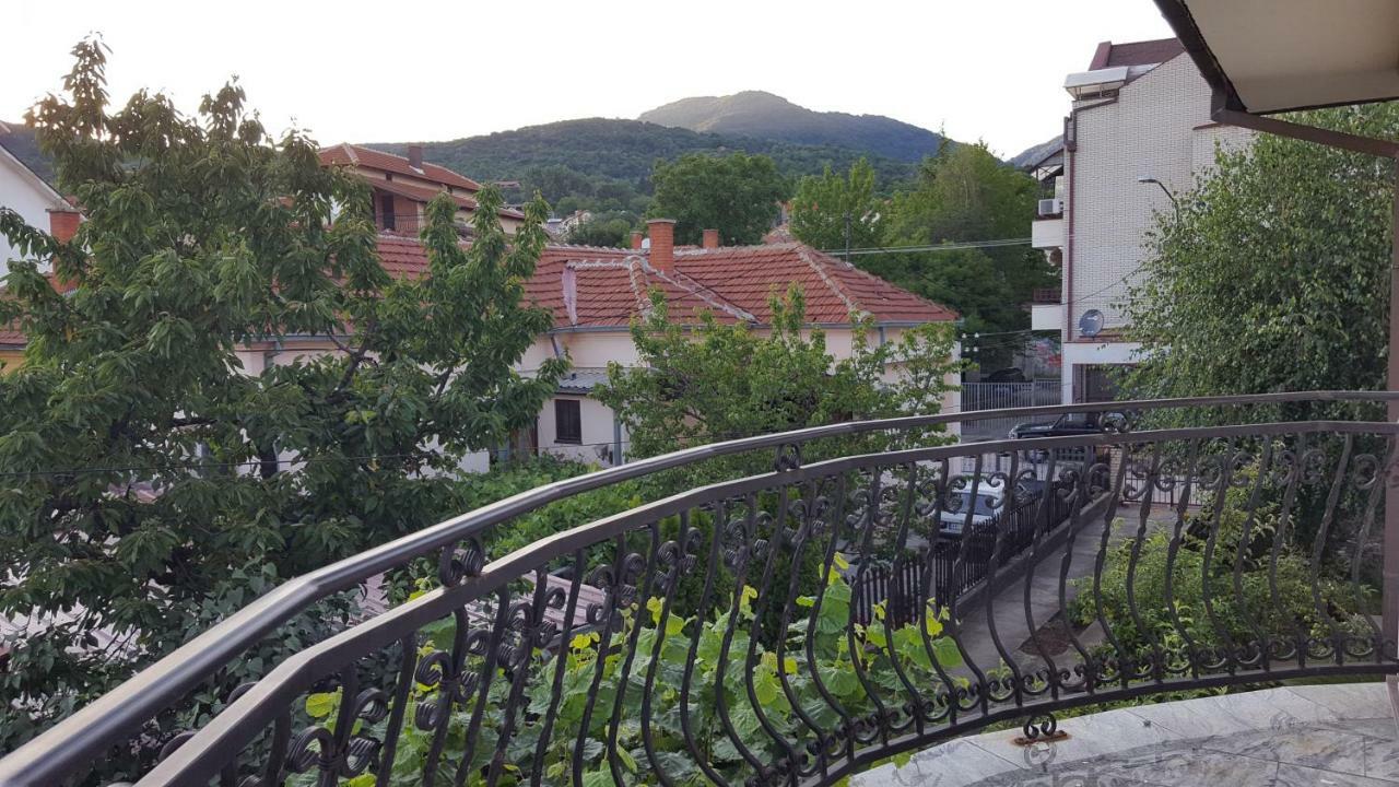 Vila Sentic ヴラニェ エクステリア 写真