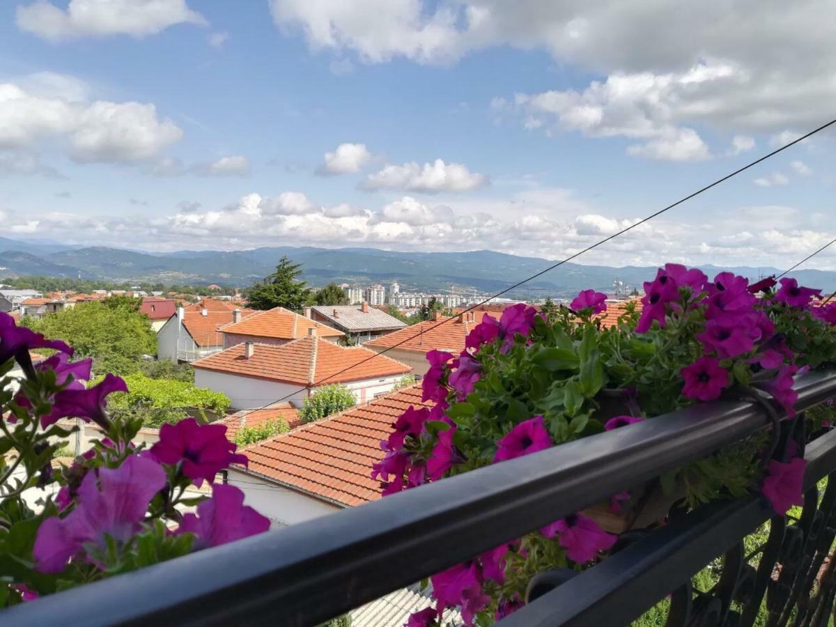 Vila Sentic ヴラニェ エクステリア 写真