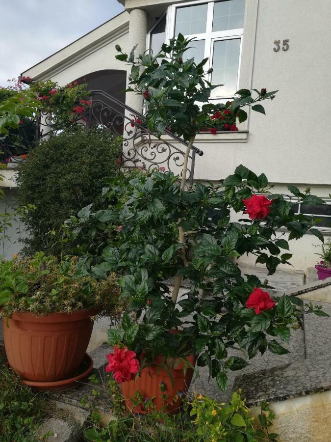 Vila Sentic ヴラニェ エクステリア 写真